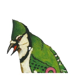 Polyphony Lit Seasonal Contests